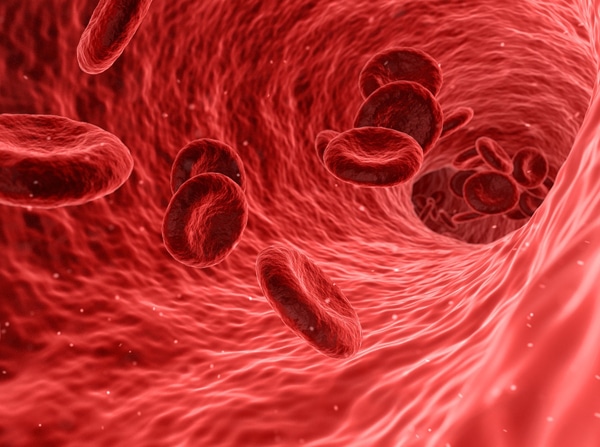 %e0%b8%82%e0%b8%b2%e0%b8%94%e0%b8%98%e0%b8%b2%e0%b8%95%e0%b8%b8%e0%b9%80%e0%b8%ab%e0%b8%a5%e0%b9%87%e0%b8%81-lack-off-ferrous