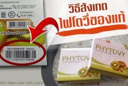 %e0%b9%84%e0%b8%9f%e0%b9%82%e0%b8%95%e0%b8%a7%e0%b8%b5%e0%b9%88%e0%b8%82%e0%b8%ad%e0%b8%87%e0%b8%9b%e0%b8%a5%e0%b8%ad%e0%b8%a1-phytovy