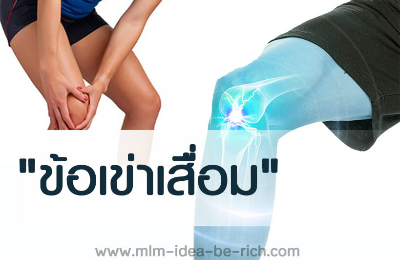 %e0%b8%9b%e0%b8%a7%e0%b8%94%e0%b8%ab%e0%b8%b1%e0%b8%a7%e0%b9%80%e0%b8%82%e0%b9%88%e0%b8%b2-%e0%b8%82%e0%b9%89%e0%b8%ad%e0%b9%80%e0%b8%82%e0%b9%88%e0%b8%b2%e0%b9%80%e0%b8%aa%e0%b8%b7%e0%b9%88%e0%b8%ad%e0%b8%a1