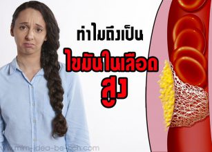 %e0%b9%84%e0%b8%82%e0%b8%a1%e0%b8%b1%e0%b8%99%e0%b9%83%e0%b8%99%e0%b9%80%e0%b8%a5%e0%b8%b7%e0%b8%ad%e0%b8%94-hyperlipidemia