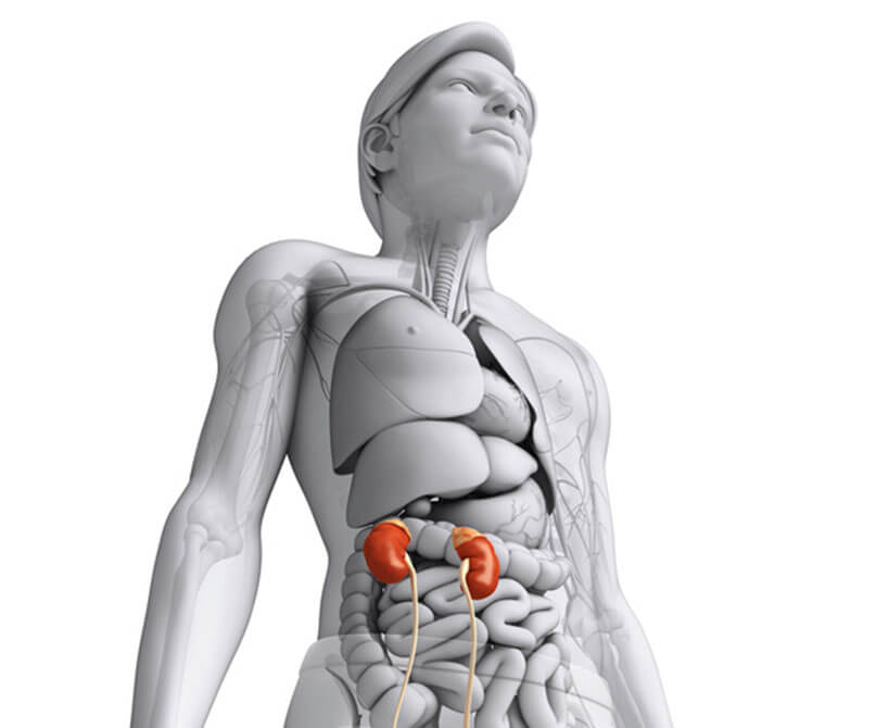 %e0%b9%84%e0%b8%95%e0%b8%a7%e0%b8%b2%e0%b8%a2-renal-failure