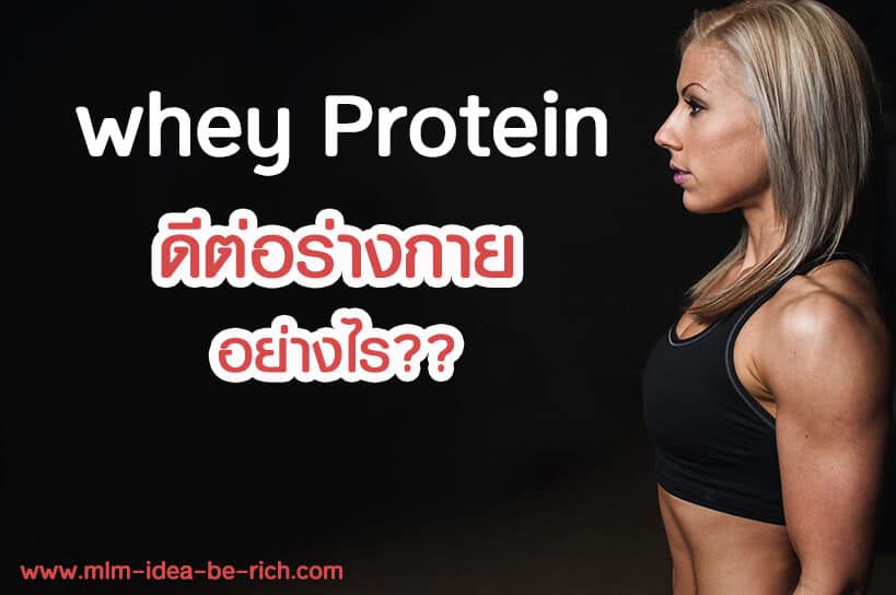 whey-protein-%e0%b8%94%e0%b8%b5%e0%b8%ad%e0%b8%a2%e0%b9%88%e0%b8%b2%e0%b8%87%e0%b9%84%e0%b8%a3