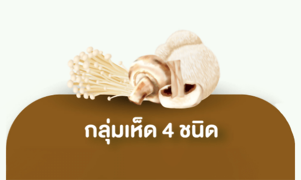 กลุ่มเห็ด 4 ชนิด